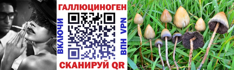 мега ссылки Тетюши Галлюциногенные грибы MAGIC MUSHROOMS закладка